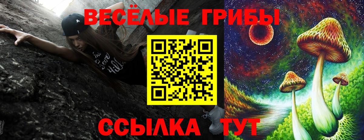 Псилоцибиновые грибы Cubensis Искитим